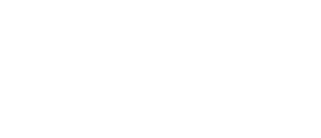 NEC Digital Studio logo